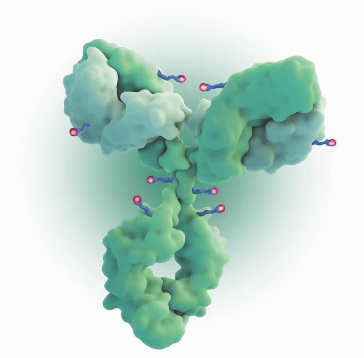 TRODELVY is a humanized monoclonal antibody with a cytotoxic payload of SN3-38, linked by a hydrolysable linker.