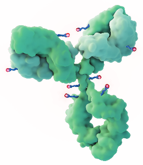 Closeup of a TRODELVY® (sacituzumab govitecan-hziy) molecule